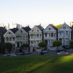 Les fameuses Painted Ladies