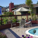La piscine du motel