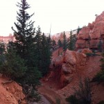 "Au fond" de Bryce Canyon